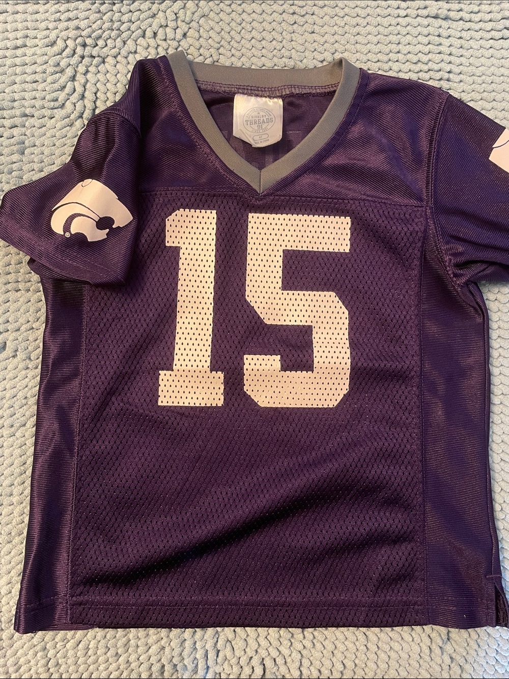 Rivalry Threads Purple Mesh Kids Football Jersey with White Number 15